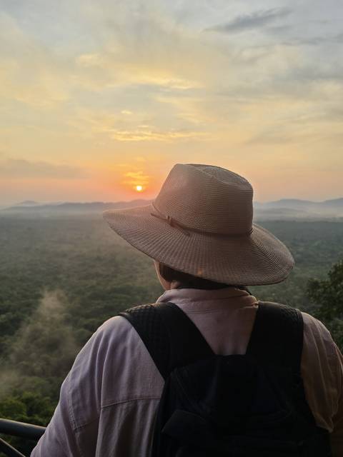 Scenic view of the sunset over a forested landscape, with a person in a hat observing.