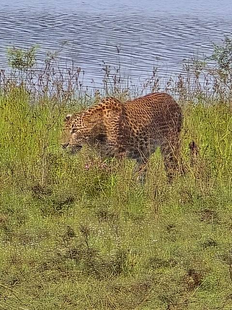       foto de reseña de cliente de Gran Descubrimiento de Sri Lanka 
  