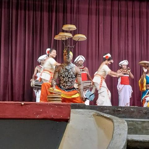       Performers in traditional costumes on stage during a cultural event.
  