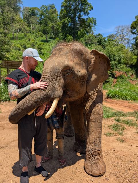 Person interacting with an elephant.