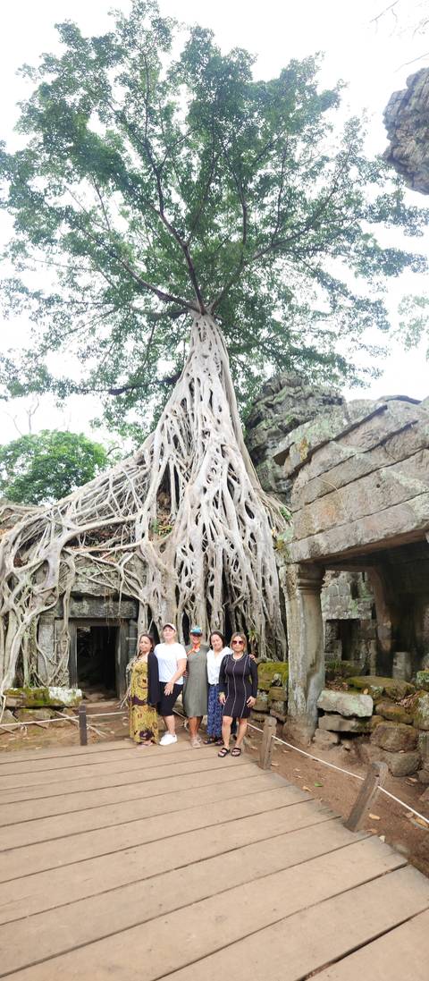       Tree roots growing over ancient stone ruins.
  