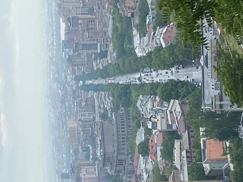 Overhead view of a city street lined with trees.