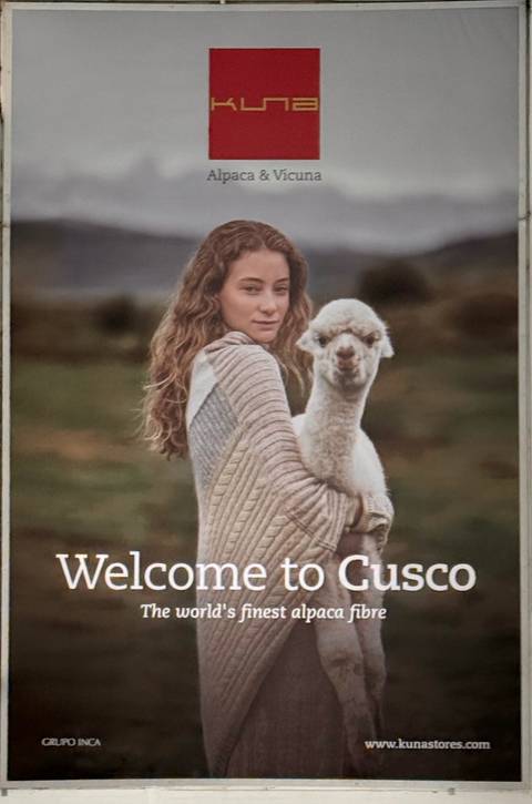 A woman holding an alpaca in a field.