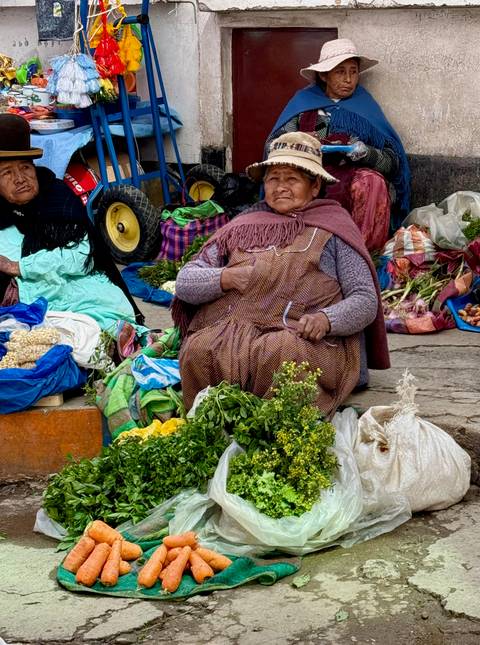       An elderly woman seated at a market with various produce.
  