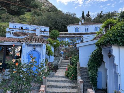 Blue and white houses in a scenic village.