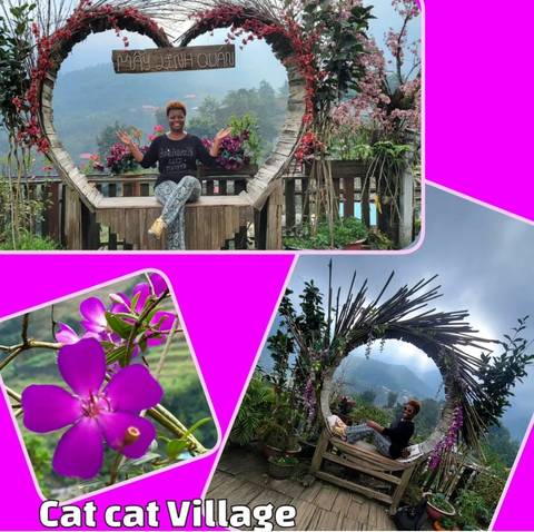 Collage of scenic views in a garden setting.
