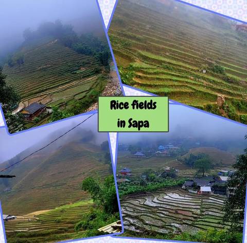 Collage of terraced rice fields in mountainous area.
