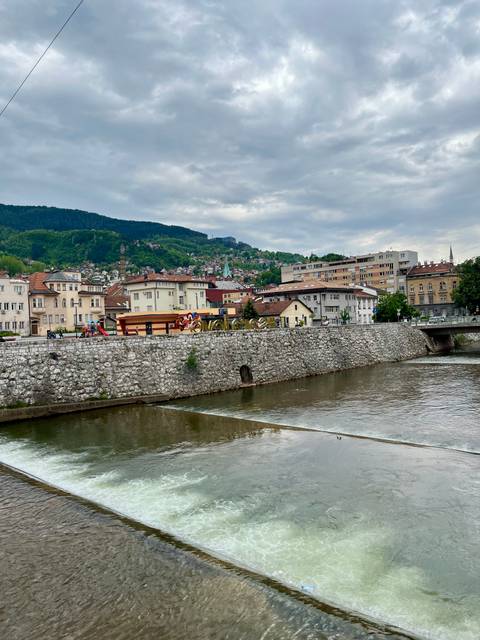 Scenic view of a river lined with buildings and greenery.