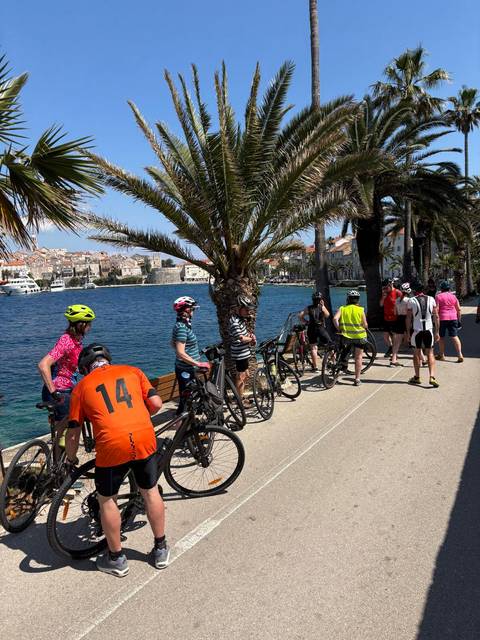       Cyclists resting by a waterfront with palm trees and boats.
  