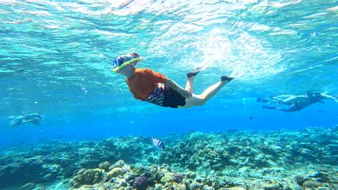       Snorkeler swimming over a vibrant coral reef.
  