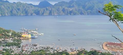       Panoramic view of a coastal landscape with boats and mountains.
  