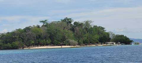       Small island with lush trees and clear blue water.
  