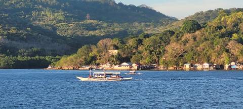       Boats sailing near a lush green island.
  