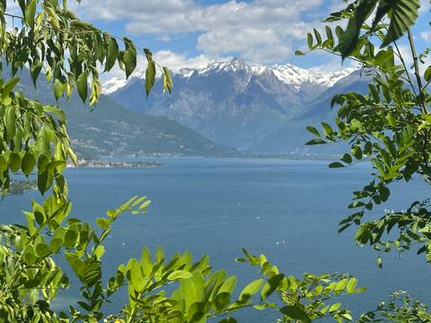 Breathtaking view of mountains and a lake framed by foliage.