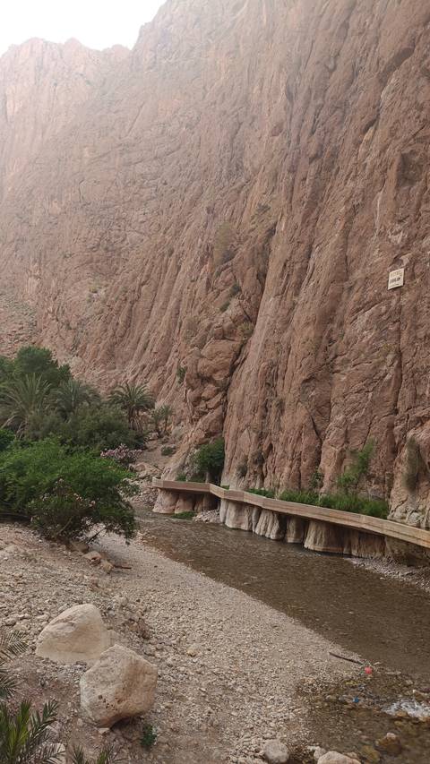       A rocky cliffside with lush greenery and a sign.
  