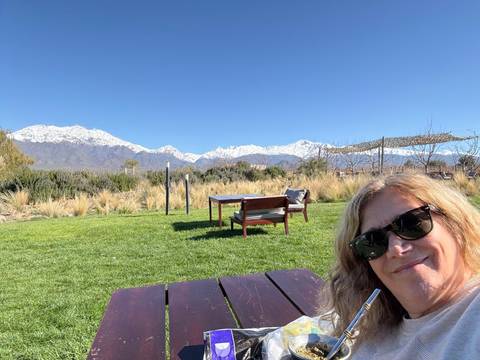 Woman selfie with snowcapped mountains and green landscape.