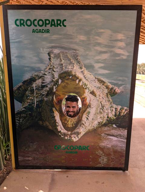 Man posing through a crocodile display.