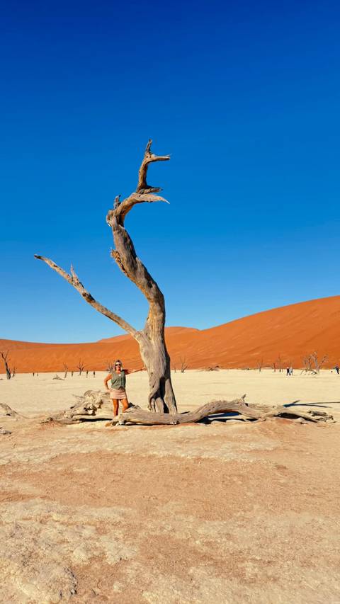       Person sitting beside a tall dead tree in a desert landscape.
  