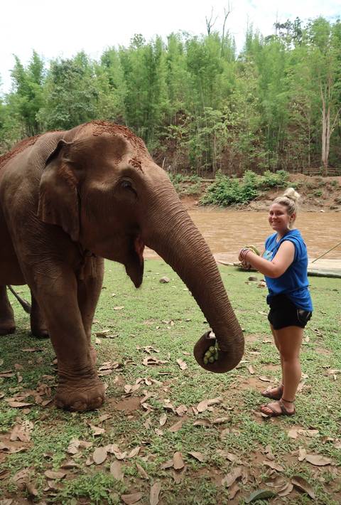 A woman feeding an elephant by a river.