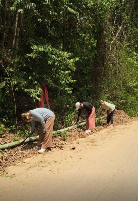       Group of people engaged in planting work along a path.
  