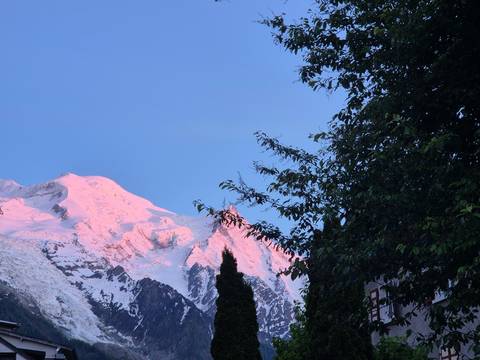 Sunlit peaks of Mont Blanc with trees in the foreground.