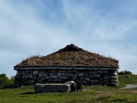       Stone house with a grass roof against the sky.
  