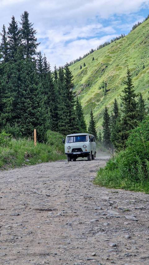       Vintage van driving on a dirt road surrounded by pine trees.
  
