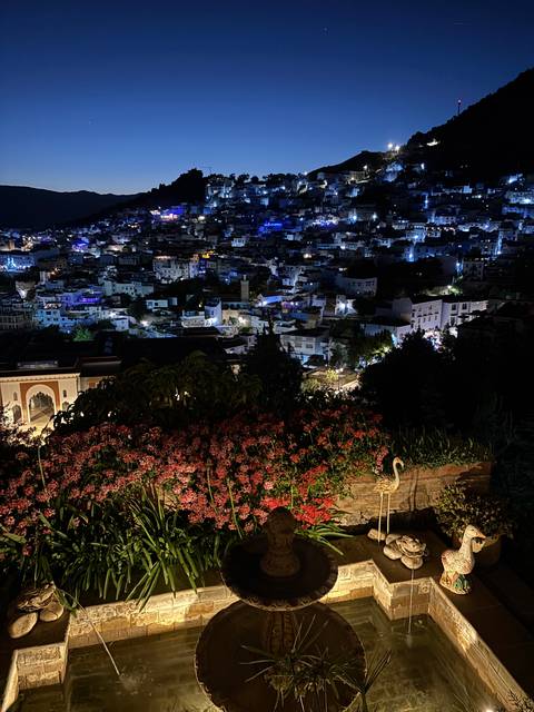       Night view of a city with lights and a large garden.
  
