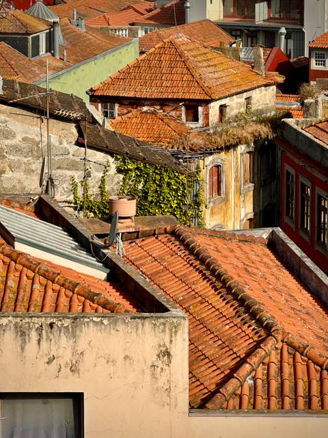       Close-up of lush rooftop gardens on traditional buildings.
  