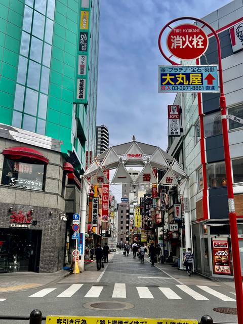 Street view of a bustling shopping district with signage.