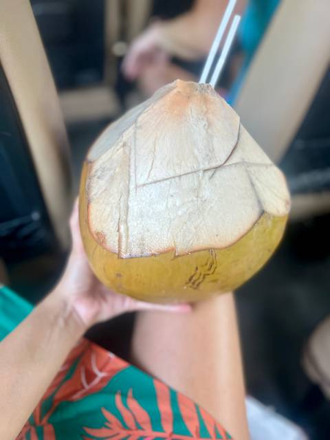      Close-up of a coconut being held by a hand.
  
