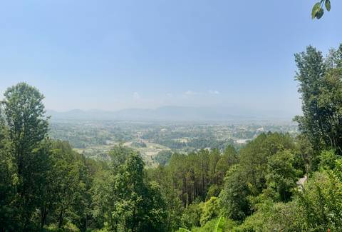 Clear view of a valley with trees and distant mountains.