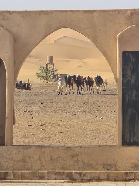 Person with camels in a desert.
