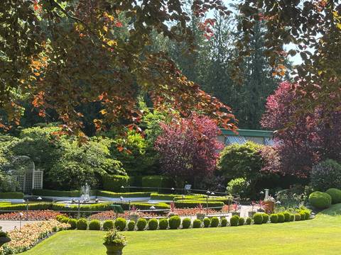 Colorful garden with various plants and a fountain.