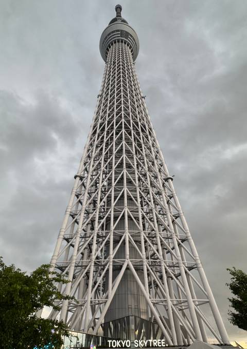       View of a tall structure resembling a tower with a metal framework, set against a cloudy sky.
  