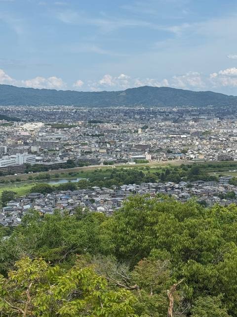      Aerial view of a sprawling cityscape with lush greenery and mountains in the background.
  