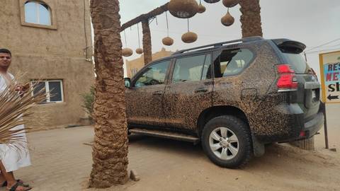       Dust-covered SUV parked with palm trees in a desert-like setting.
  