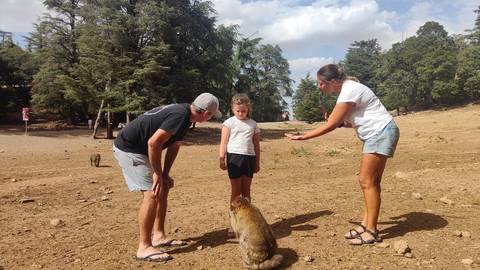       A family interacting with a Barbary macaque in a dry forest setting.
  