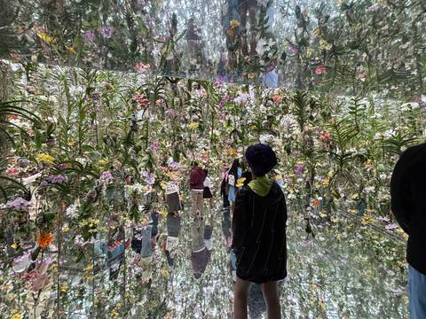       Visitors walking through a mirrored floral exhibit.
  