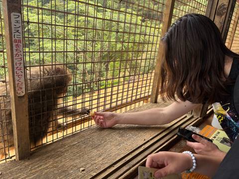       Person feeding a monkey through a cage.
  