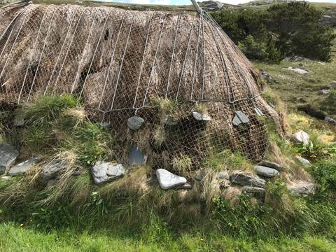 Traditional thatched roof structure with a stone foundation.