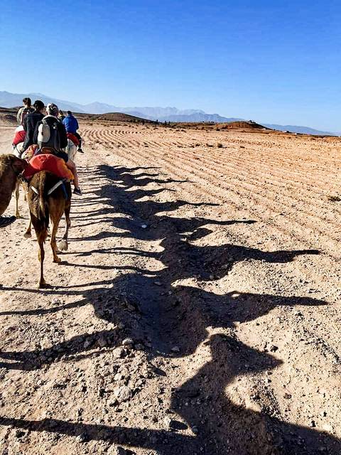 4 Tage Marokko Wüsten von Marrakesch nach Merzouga Foto von Kundenbewertung 