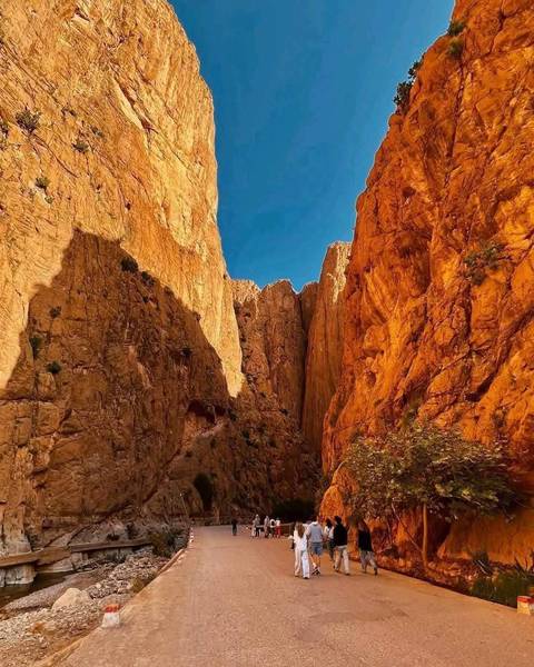       Majestic canyon with red rock formations and blue sky.
  