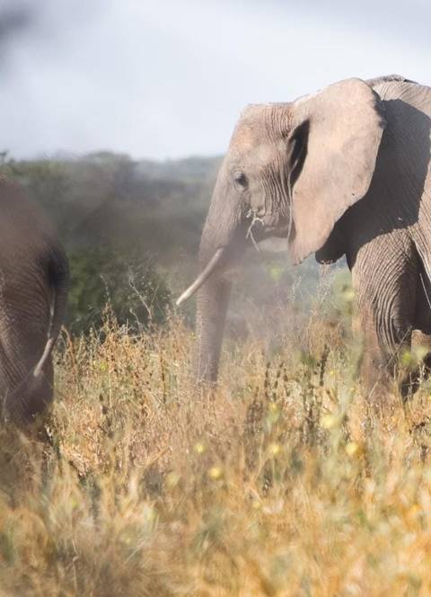 Klantbeoordelingsfoto van 5 Dagen Masai Mara, Lake Nakuru & Hell's Gate Budget Safari 