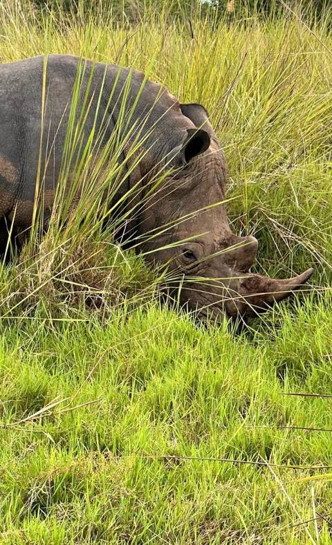 Klantbeoordelingsfoto van 5 Dagen Masai Mara, Lake Nakuru & Hell's Gate Budget Safari 