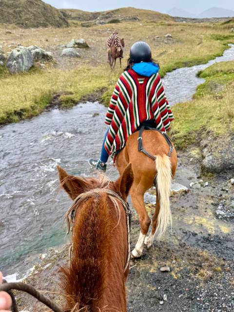 Person on horseback crossing a stream.