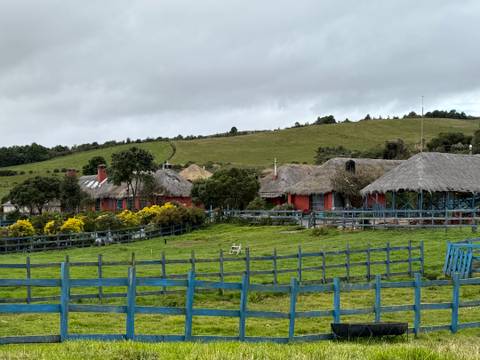       A farm with traditional thatched buildings and a green field.
  