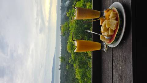       Two glasses and a plate of fruit with a scenic view.
  