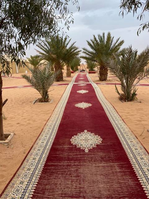 Decorative path lined with palm trees in a desert setting.