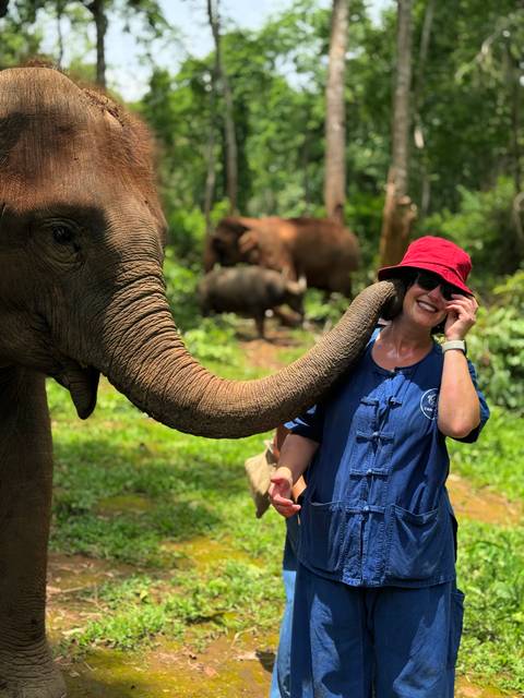       Person with elephant trunk playfully touching face.
  